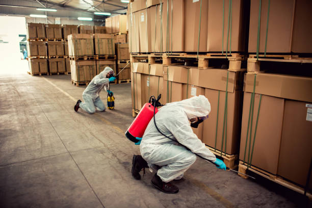 Best Pest Prevention Services  in Bayview, CA