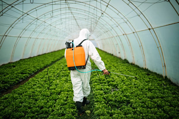 Best Residential Pest Control  in Bayview, CA