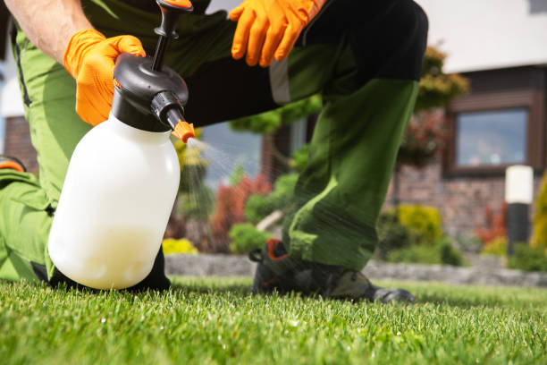 Best Affordable Pest Control Services  in Bayview, CA