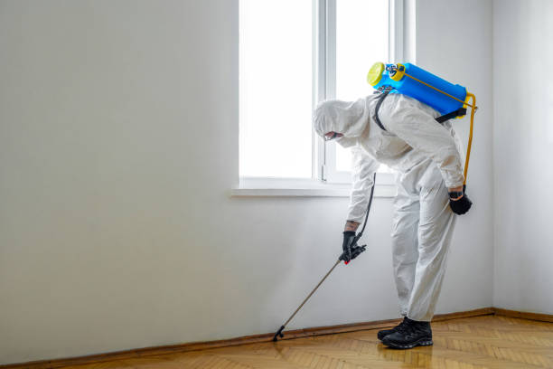 Best Local Pest Control Services  in Bayview, CA