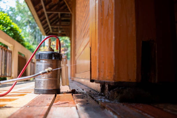 Best Termite Control Services  in Bayview, CA