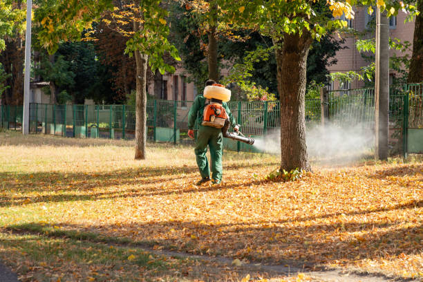 Flea Control Services in Bayview, CA