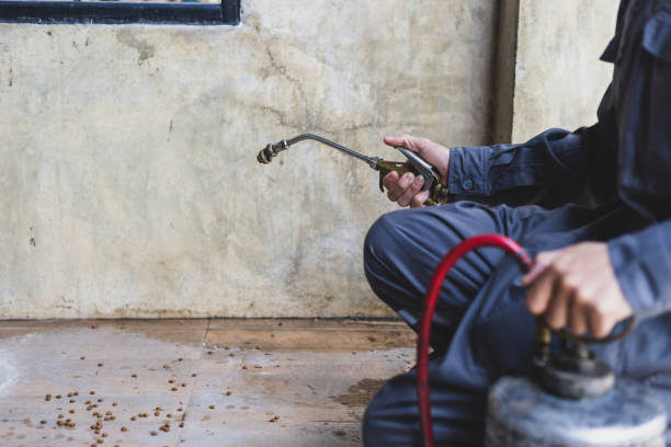 Best Pest Removal Services  in Bayview, CA